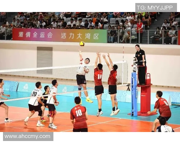 重庆排球队在精英赛中的力量展现与战术分析