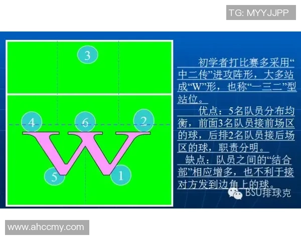 重庆排球队整体压制打法深度分析与战术解读 重庆排球队整体压制打法深度分析与战术解读