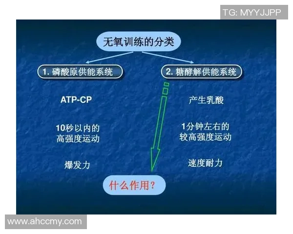 重庆羽毛球队反击战术深度解析与实战应用探讨