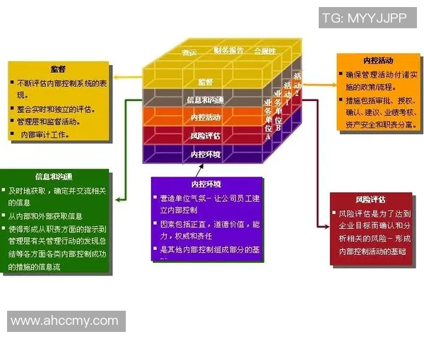 重庆网球队的战术解析与控制体系研究探讨
