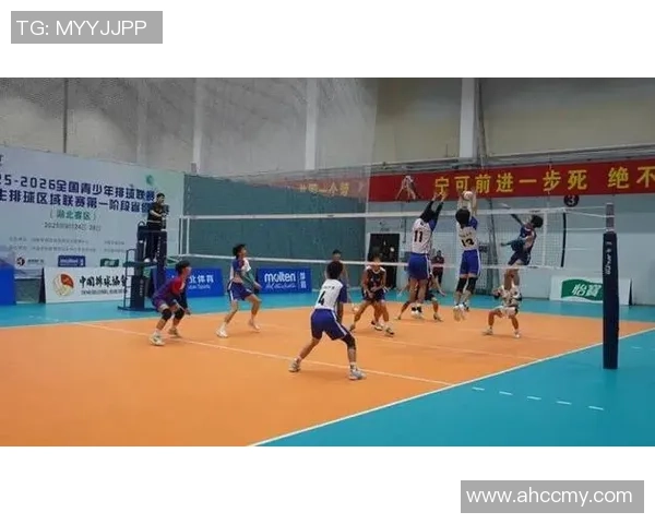 武汉排球队的比赛经验揭秘：从训练到赛场的全方位分析与分享