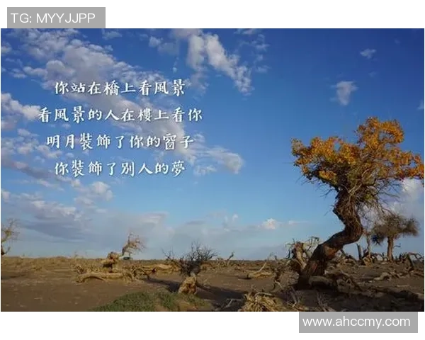 王强谈网球生涯：从青涩少年到职业选手的心路历程与成长故事